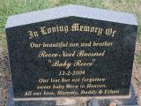 image of grave number 944453
